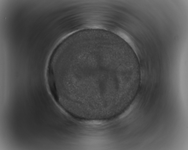 X0000088671141200706281916