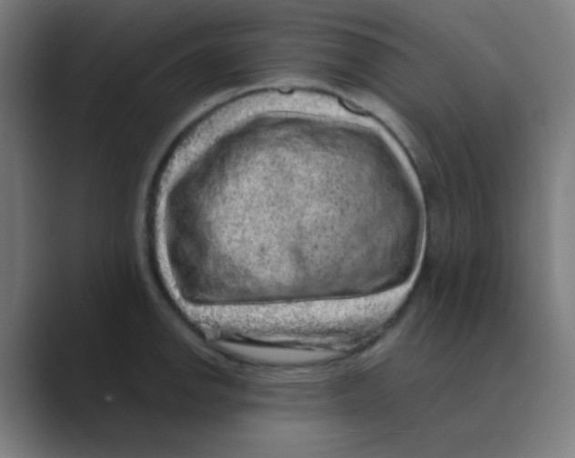 X0000088671142200706281916