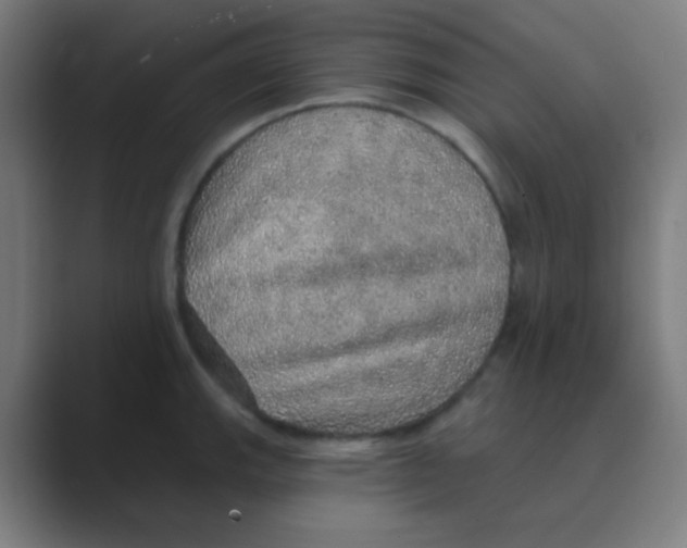 X0000088671143200706281916