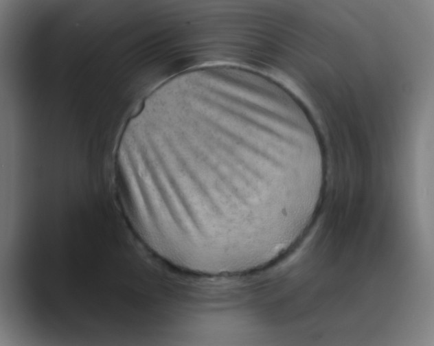 X0000088671145200706281916