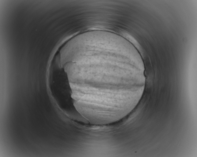 X0000088671146200706281916