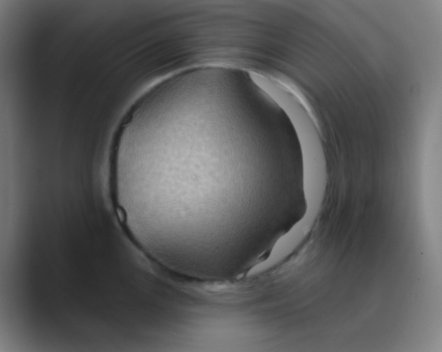 X0000088671147200706281916