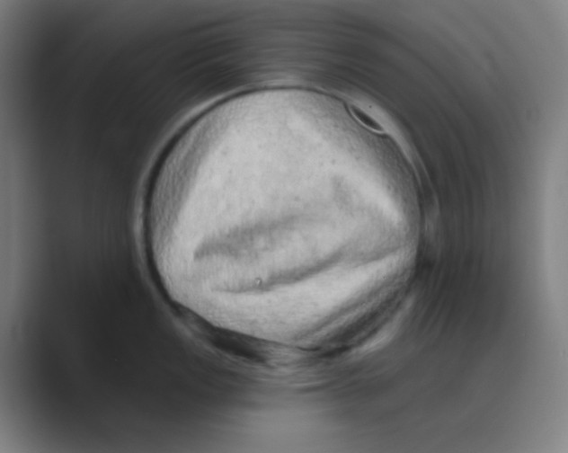 X0000088671149200706281916