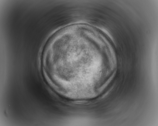 X0000088671151200706281916
