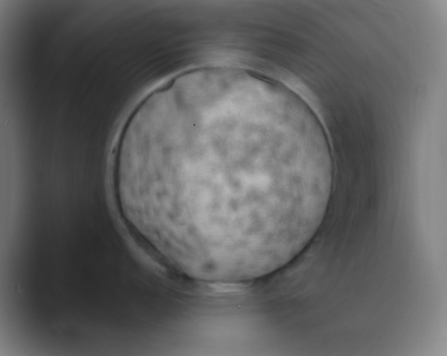 X0000088671152200706281916
