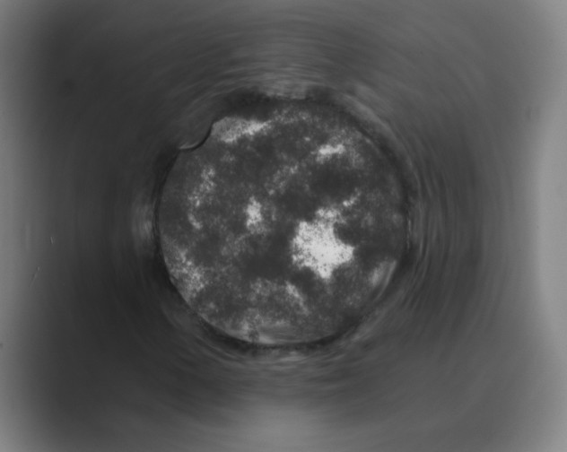 X0000088671154200706281916