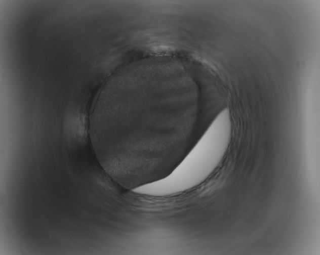 X0000088671156200706281916