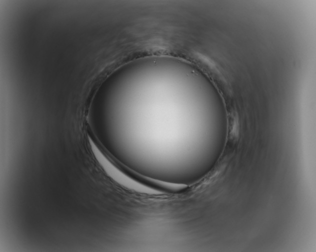X0000088671157200706281916