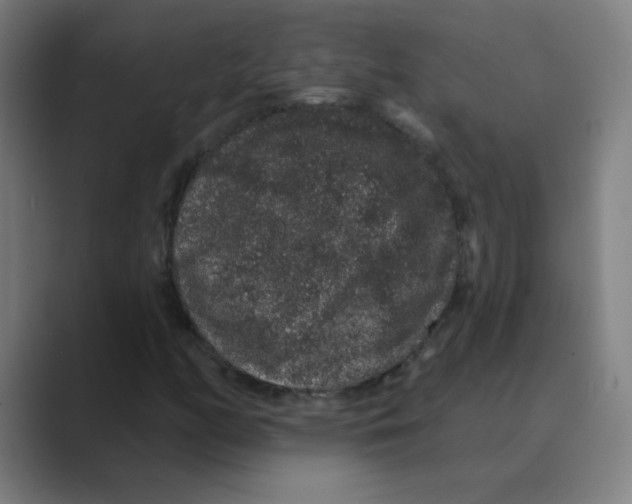 X0000088671158200706281916