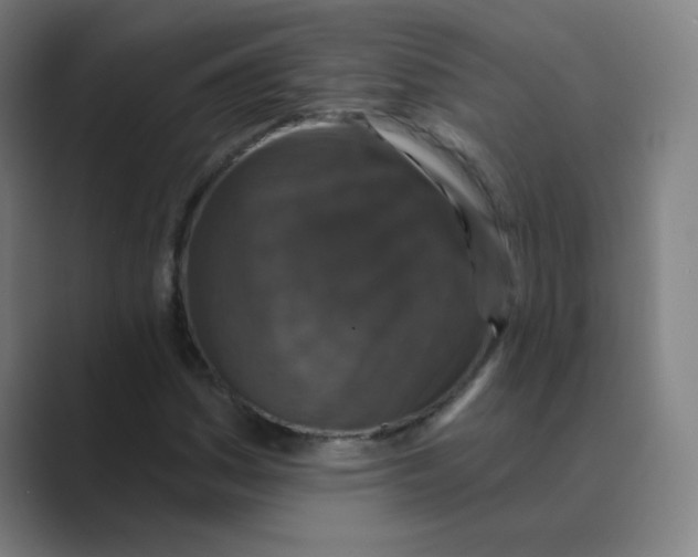 X0000088671161200706281916