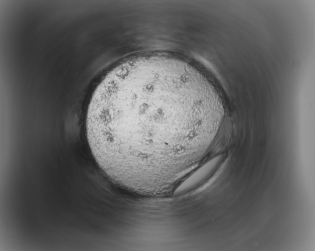 X0000088671163200706281916
