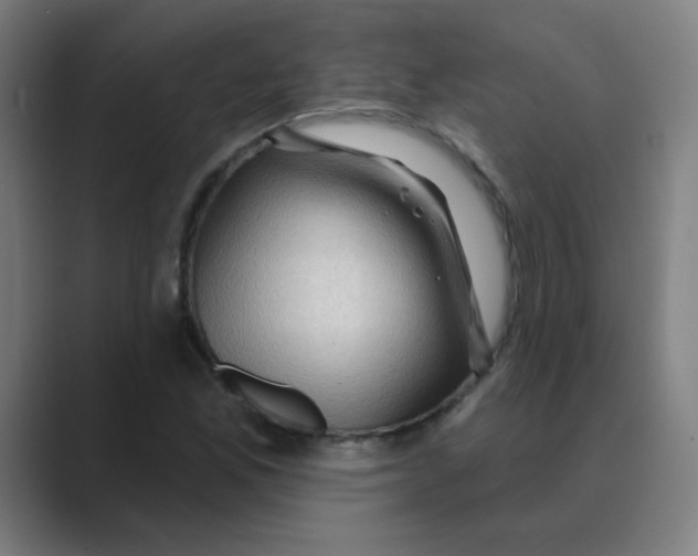 X0000088671165200706281916
