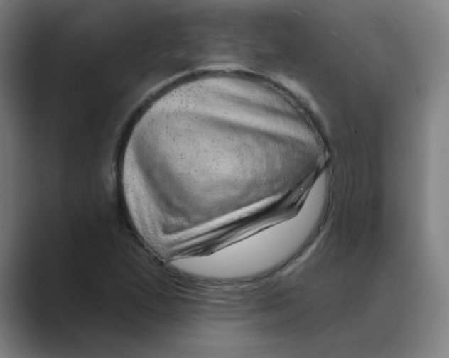 X0000088671167200706281916