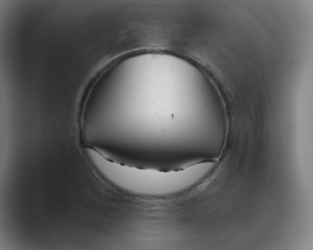 X0000088671168200706281916