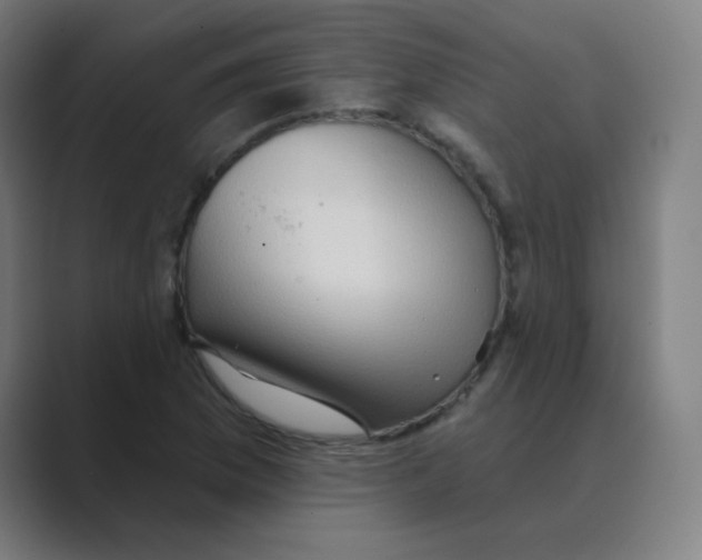 X0000088671169200706281916