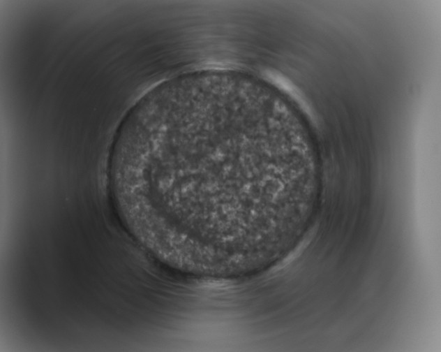 X0000088671170200706281916