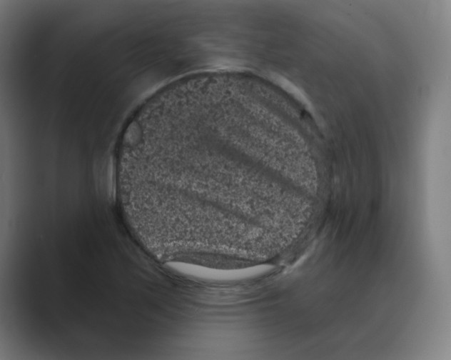 X0000088671171200706281916