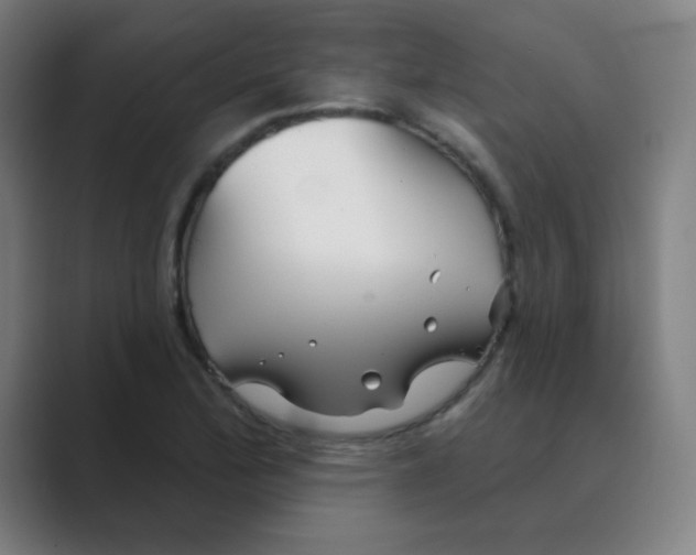 X0000088671172200706281916