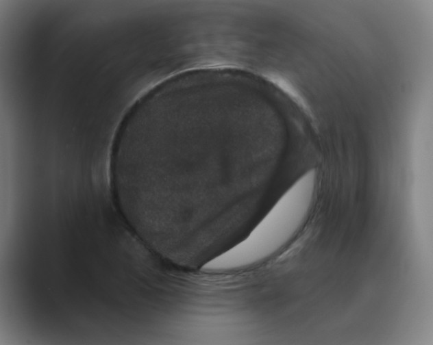 X0000088671173200706281915