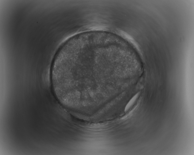 X0000088671174200706281915