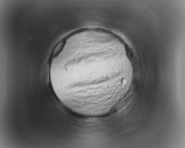X0000088671175200706281915