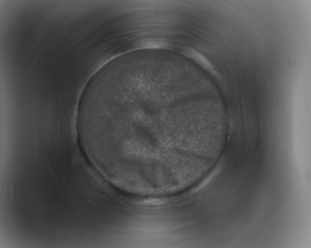 X0000088671178200706281915