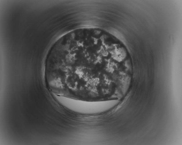 X0000088671179200706281915