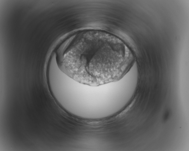 X0000088671180200706281915