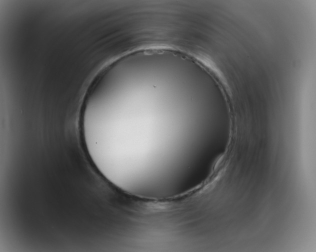 X0000088671181200706281915