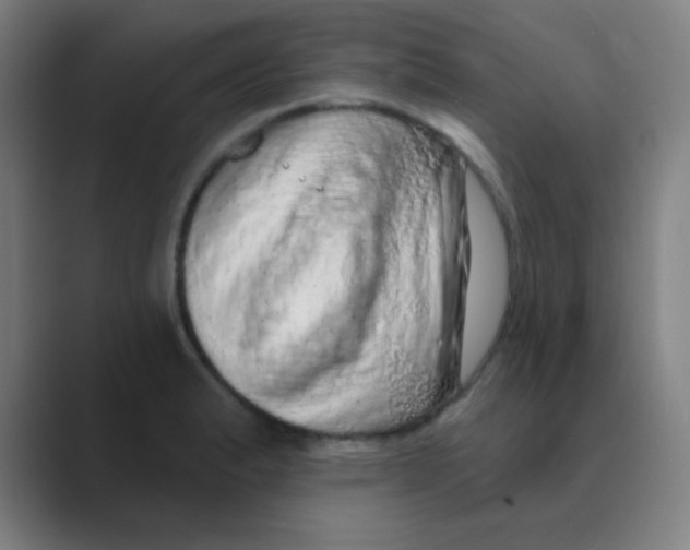 X0000088671183200706281915