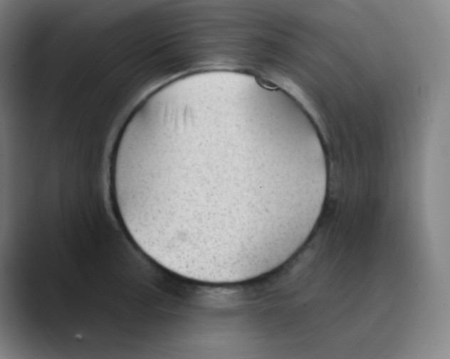 X0000088671187200706281915