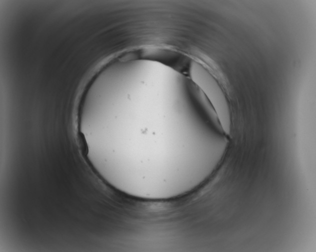 X0000088671188200706281915