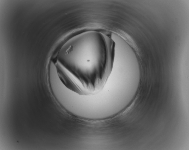 X0000088671192200706281915