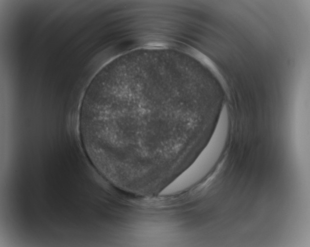 X0000088671194200706281915