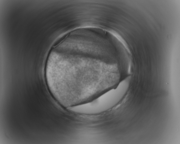 X0000088671197200706281915