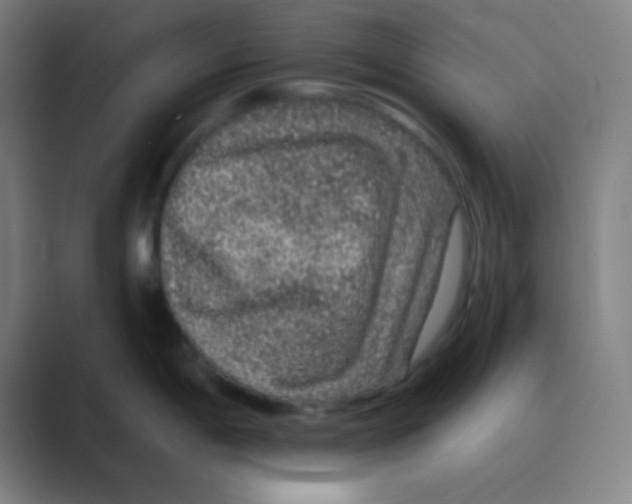 X0000088671198200706281915
