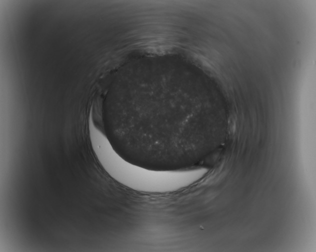 X0000088671202200706281915