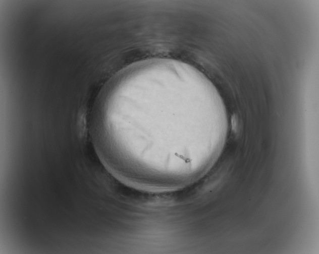 X0000088671203200706281915