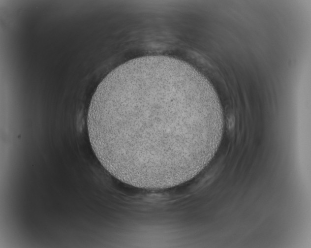 X0000088671204200706281915