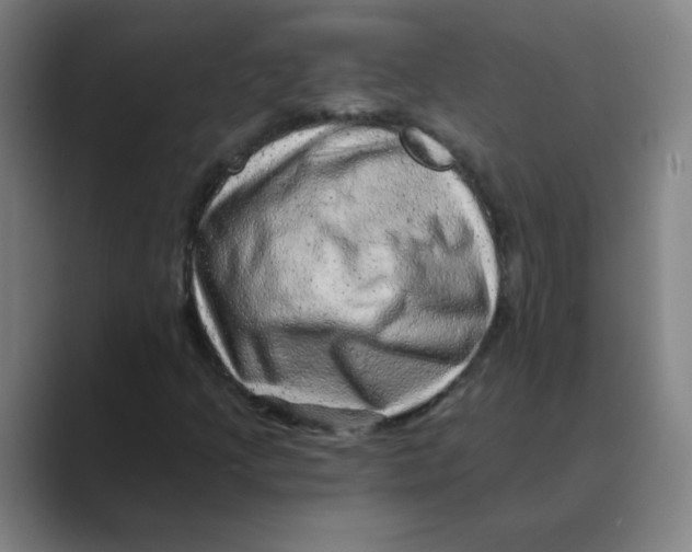 X0000088671205200706281915