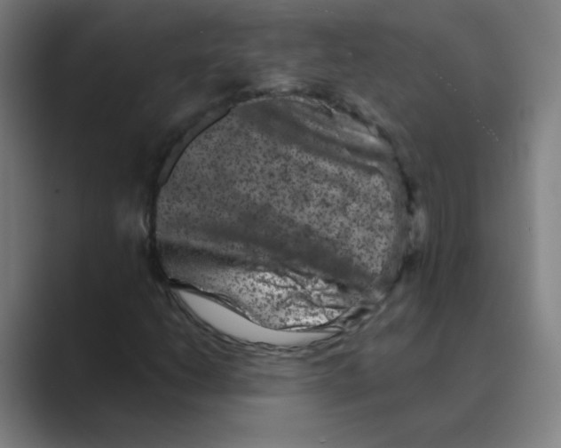 X0000088671206200706281915