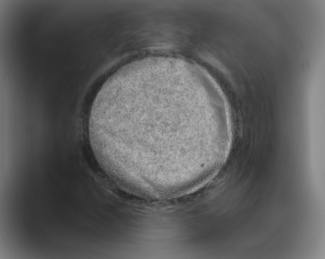 X0000088671208200706281915