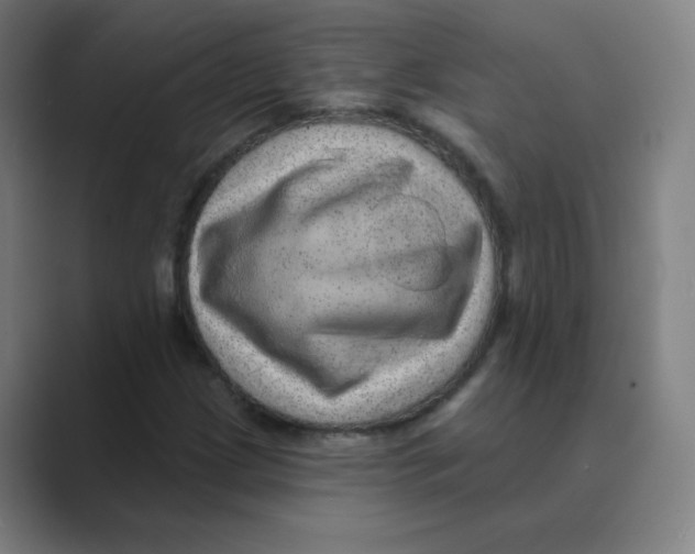 X0000088671209200706281915