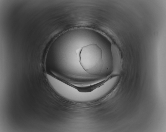 X0000088671210200706281915