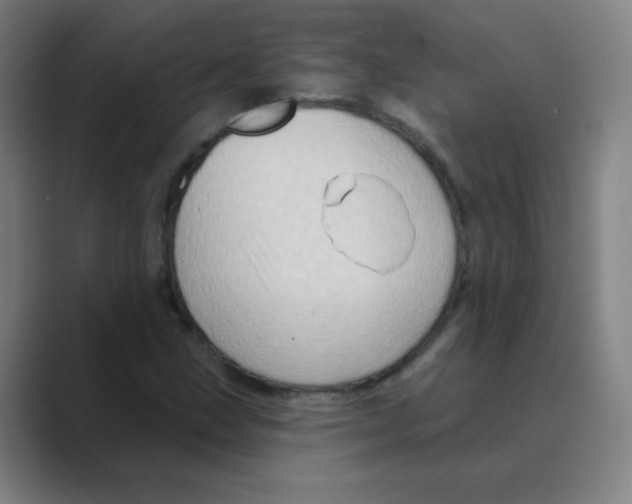 X0000088671211200706281915