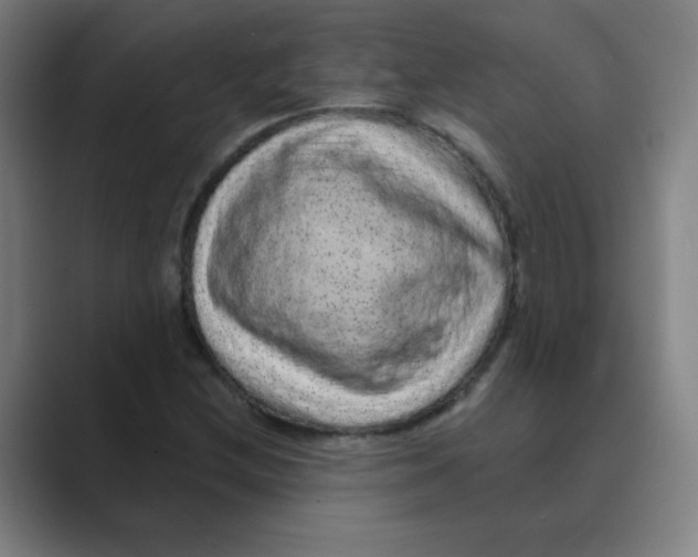 X0000088671212200706281915