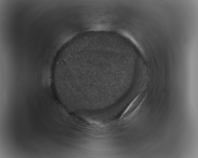 X0000088671213200706281915