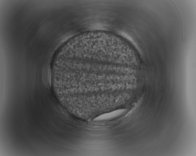 X0000088671219200706281915