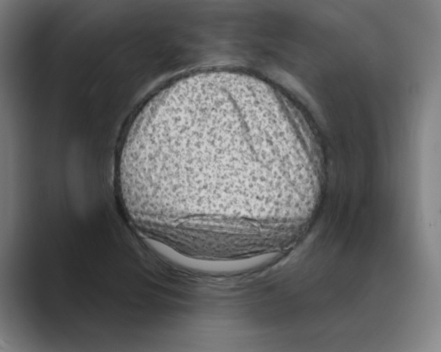 X0000088671220200706281915