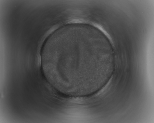 X0000088671221200706281915